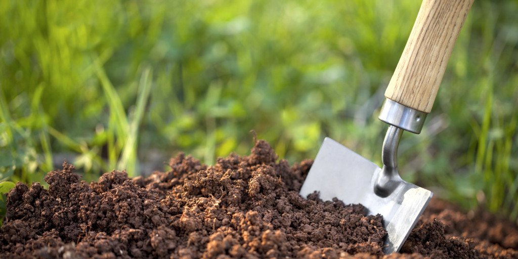 رازهایی برای داشتن خاک خوب در باغبانی