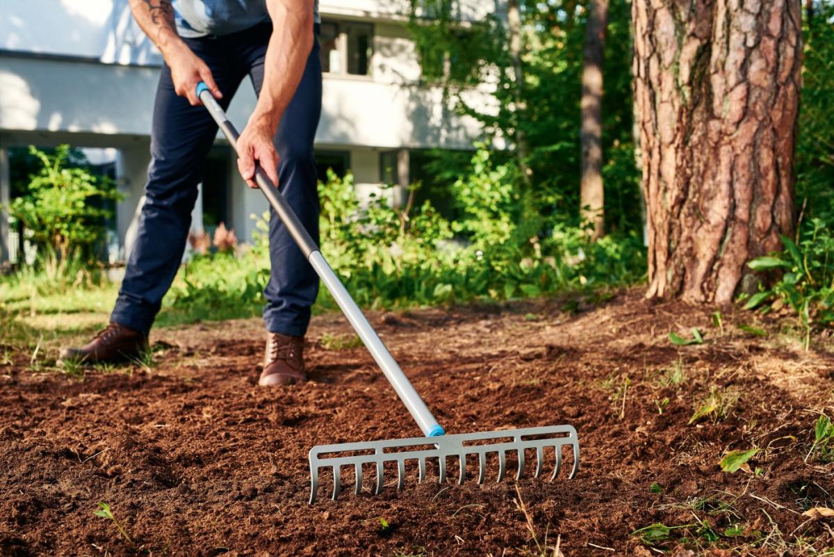 رازهایی برای داشتن خاک خوب در باغبانی