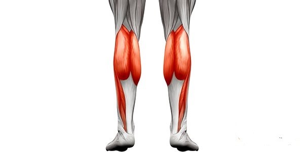 با تردمیل کدام یک از عضلات بدن شما تقویت می‌شود؟