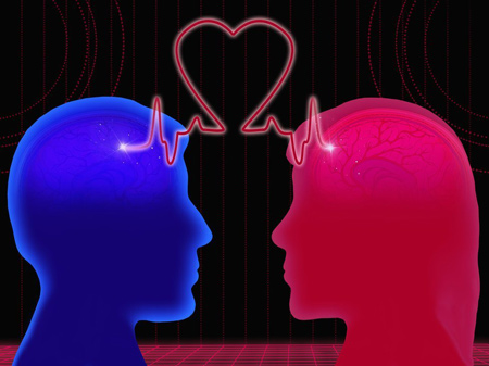 بررسی علمی عشق ؛ یک فرآیند خونی و عصبی
