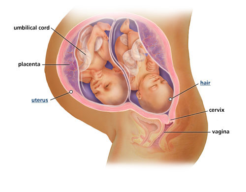 تشخیص وضعیت جنین و اهمیت آن