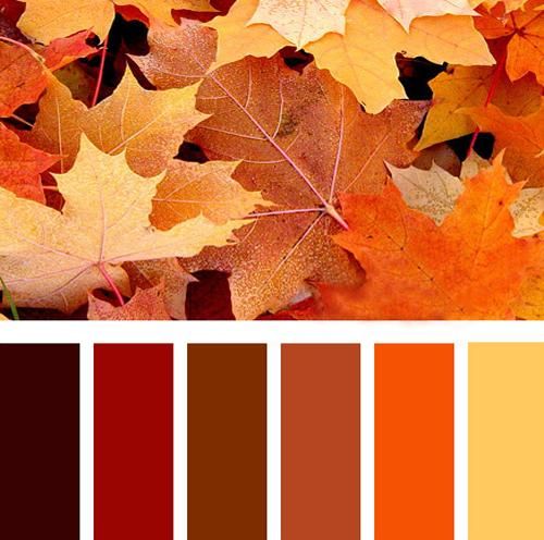 دکوراسیون منزل به رنگ پاییز