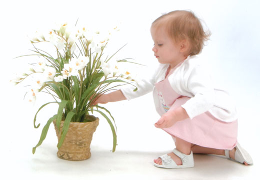 گیاهانی که سلامت کودک تان را تهدید می کنند