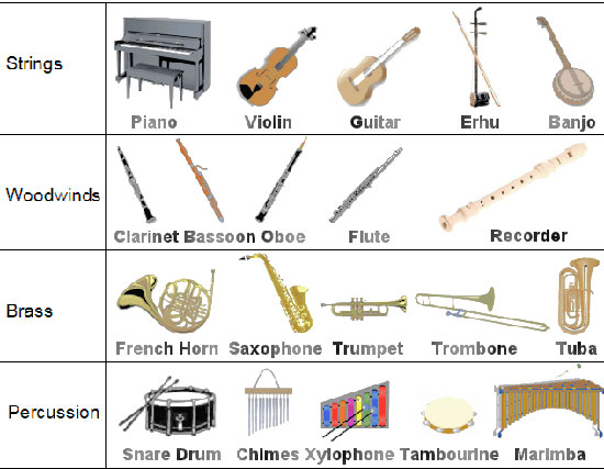 کدام سازهای موسیقی را برای نواختن انتخاب کنیم