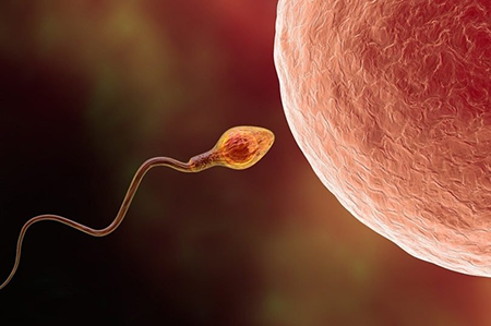 فریز کردن اسپرم چیست و چه کاربردی دارد؟