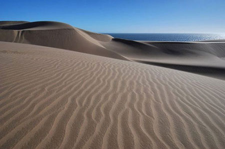 صحرای نامیب یک بیابان ساحلی در جنوب آفریقا