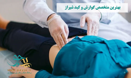 دکتر متخصص گوارش و کبد در شیراز