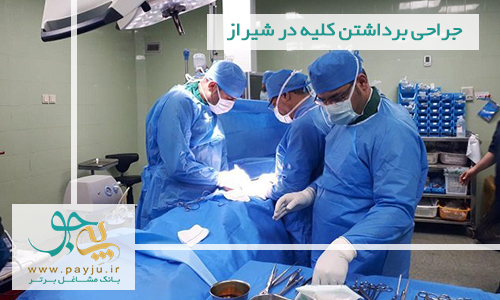 جراحی برداشتن کلیه در شیراز