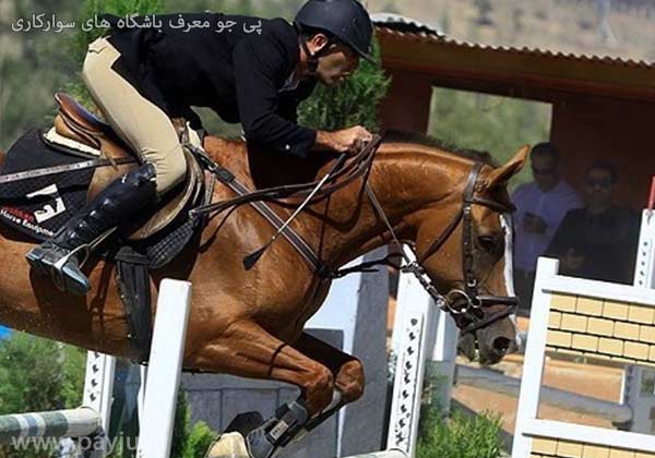 باشگاه سوارکاری و اسب سواری در شیراز