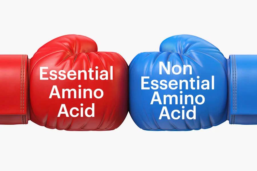 آمینو اسیدهای ضروری چیست و چرا برای اهداف بدنسازی شما مهم هستند؟