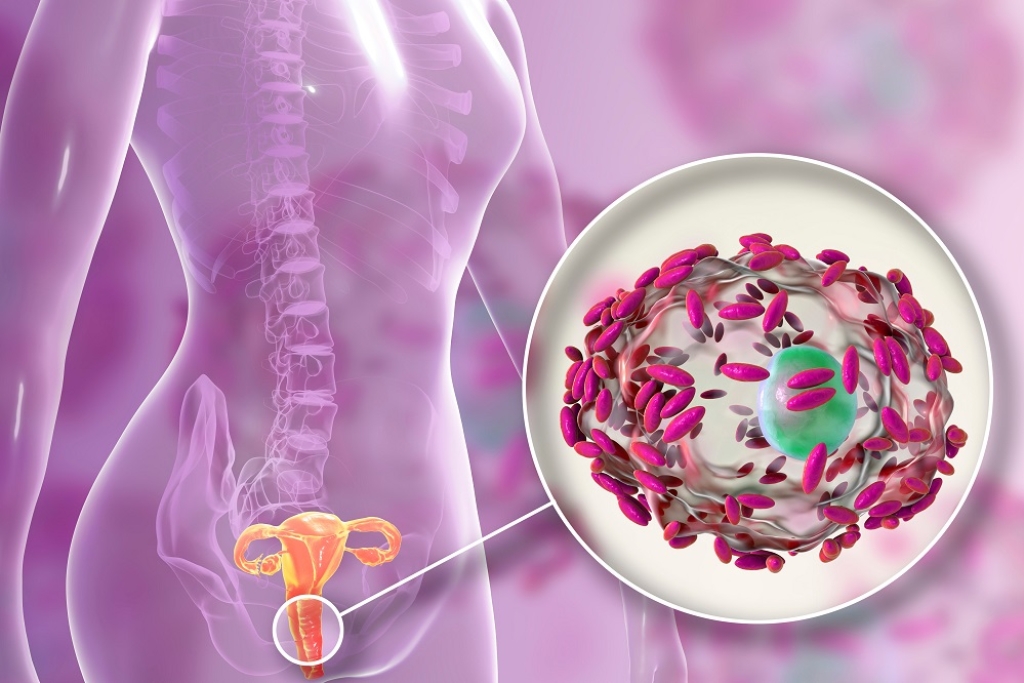 آنچه باید درباره میکروبیوم واژن بدانید