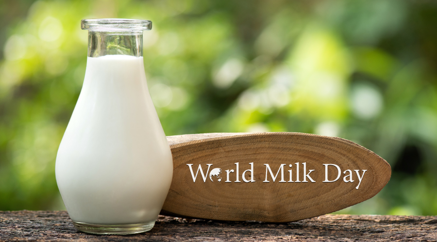 روز جهانی شیر ،بحث در مورد فواید شیر