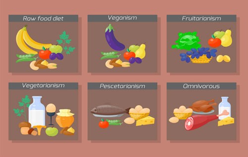  انواع مختلف رژیم‌ غذایی