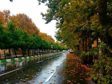 خیابان ارم شیراز