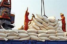 جدل برنجی واردکنندگان و دولت