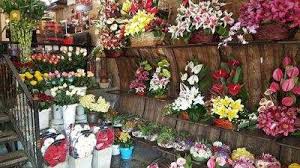 لیست گل فروشی های یاسوج
