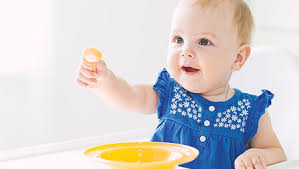 بهترین تغذیه برای کودک 17 ماهه چیست؟