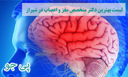 لیست بهترین پزشکان متخصص مغز و اعصاب در شیراز 