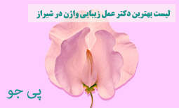 لابیاپلاستی شیراز | بهترین دکتر برای عمل زیبایی واژن در شیراز