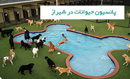 پانسیون حیوانات در شیراز