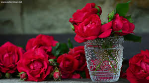 بهترین گل فروشی در نظام آباد