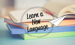 راهنمای عملی یادگیری پایدار زبان