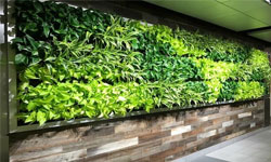 لیست طراحی و اجرای دیوار سبز در شیراز 