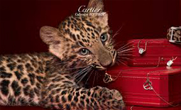 بهترین جواهرات برند Cartier (کارتیه)+اختصاصی +عکس
