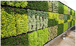 طراحی دیوار سبز ، ایده ای هیجانی 