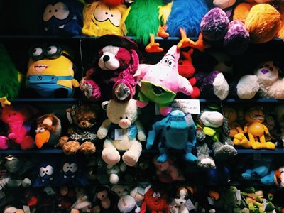 لیست فروشگاه های اسباب بازی در شیراز