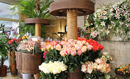 لیست گل فروشی های مشهد