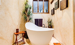 گیاهان آپارتمانی مناسب حمام کدامند ؟