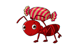 چگونه مورچه ها را از خانه فراری دهید ؟