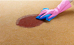 آموزش جامع پاک کردن انواع لکه از روی فرش