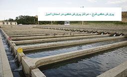 پرورش ماهی کرج - مراکز پرورش ماهی در استان البرز
