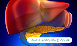 بهترین جراح پیوند پانکراس در شیراز