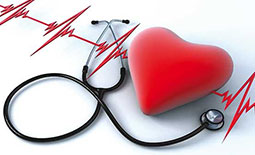 لیست پزشکان متخصص قلب و عروق در قزوین
