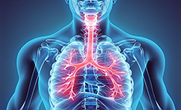لیست پزشکان فوق تخصص ریه در اراک
