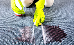 روش های استفاده صحیح از شامپو فرش در خانه
