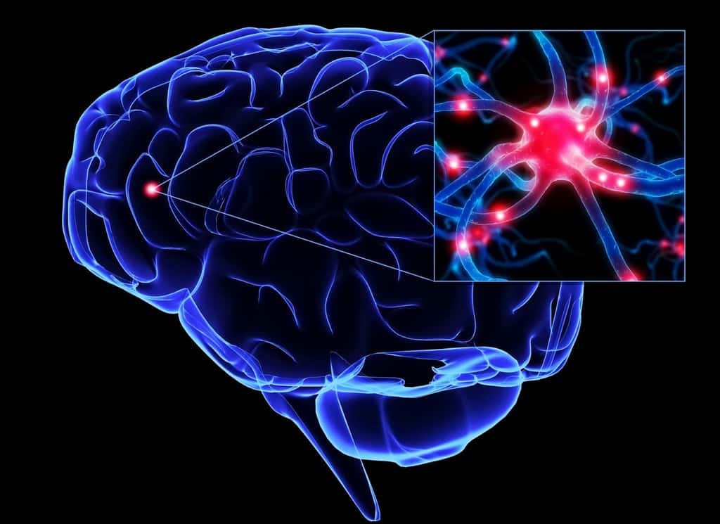 ارتباط موسیقی و مغز : موسیقی باعث تغییر ساختار مغزتان می شود!