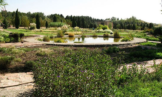  به زیباترین باغ گیاه شناسی ایران خوش آمدید