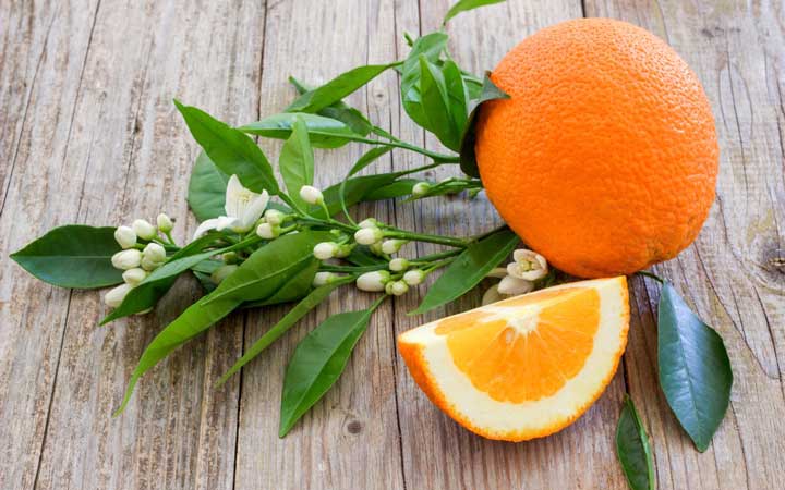 خواص نارنج برای سلامت بدن و عوارض آن