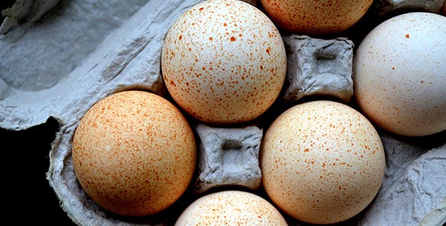 ۷ دلیل برای جایگزینی تخم مرغ با غلات صبحانه