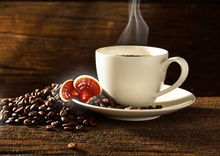 قهوه گانودرما ؛ خواص و عوارض جانبی آن