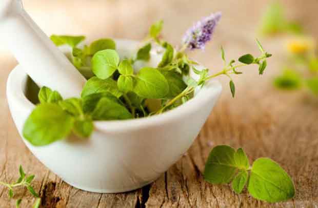 گیاهان دارویی عالی برای سلامت