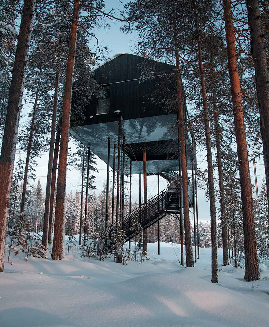 هتل درختی و تجربه استراحت زیر شفق های قطبی