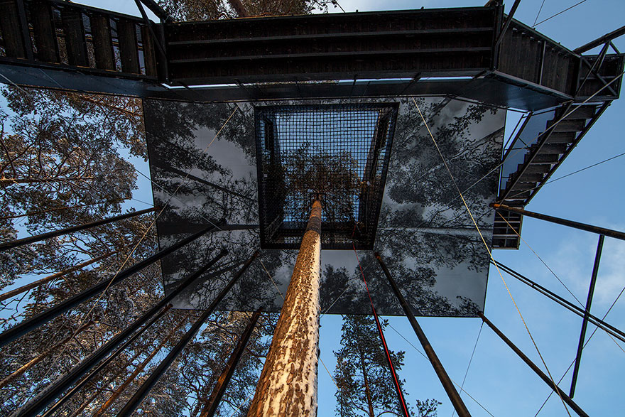 هتل درختی و تجربه استراحت زیر شفق های قطبی