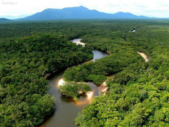 معرفی پربارانترین جنگل های دنیا