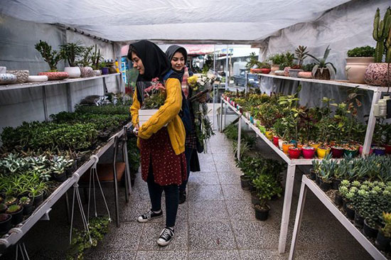 معرفی بهترین باغ های گل در تهران