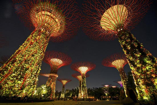 تصاویر باغ معلق در سنگاپور